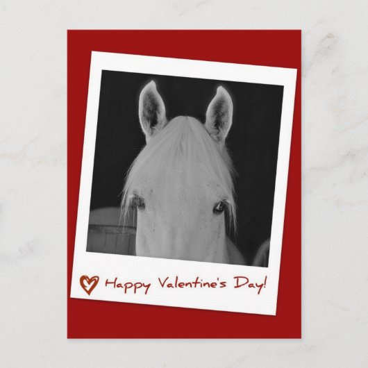 Stella Briefkaart (Voorkant)