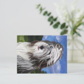 Stella de Engelse Sheep Dog Briefkaart (Staand voorkant)