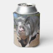 Stella en Felecia Koelbox Blikjeskoeler (Blikje Achterkant)