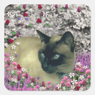 Stella in Bloemen I - Chocolade Crème Siamese Kat Vierkante Sticker
