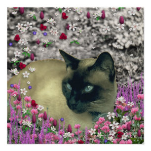 Stella in Flowers I, Chocolade & Cream Siamese Cat Perfect Poster