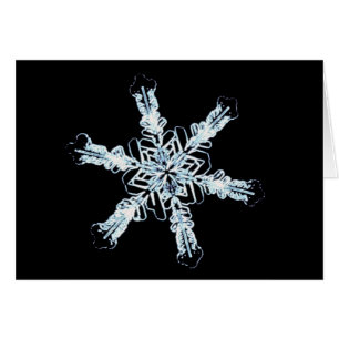 Stellair sneeuwkristal