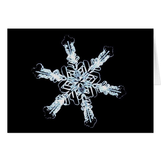 Stellair sneeuwkristal (Voorkant Horizontaal)