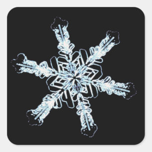 Stellair sneeuwkristal vierkante sticker