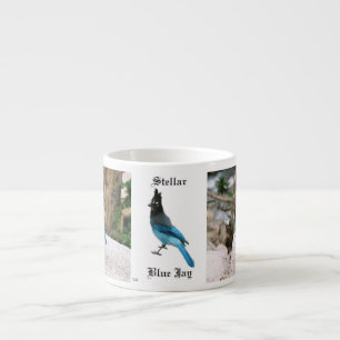 Stellar Blue Jay espresso mok