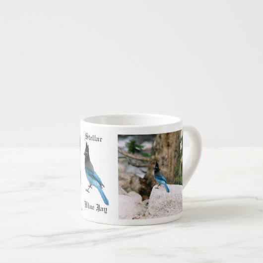 Stellar Blue Jay espresso mug (Devant droit)