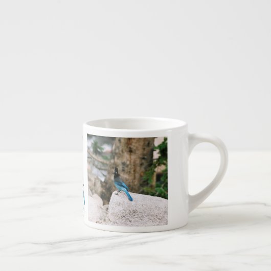 Stellar Blue Jay espresso mug (Droite)