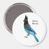 Stellar Blue Jay magnet Magneet (Voorkant / Achterkant)