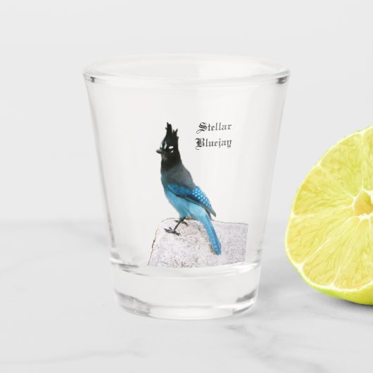 Stellar Blue Jay Shot Glas (Voorkant)