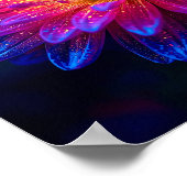 Stellar Burst Poster (Hoek)