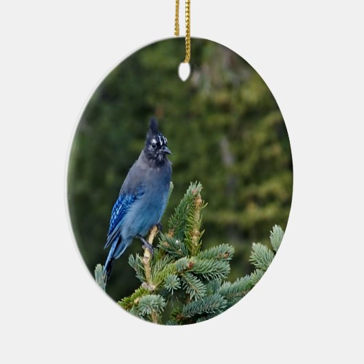 "Stellar Jay" Keramisch Ornament (Rechts)