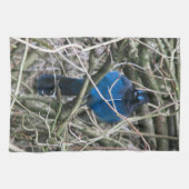 STELLAR JAY THEEDOEK (Horizontaal)