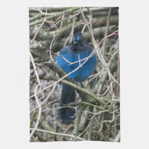 STELLAR JAY THEEDOEK