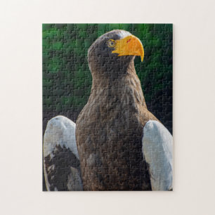 Stellar Zee Eagle Jigsaw puzzel