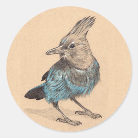 Stellar's Jay Ronde Sticker (Voorkant)