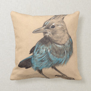 Stellars Jay tekening op getoniseerd papier Kussen