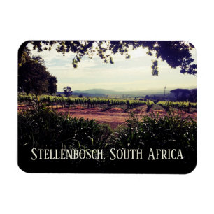 Stellenbosch, Zuid-Afrika Magneet