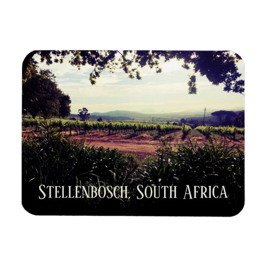 Stellenbosch, Zuid-Afrika Magneet (Horizontaal)