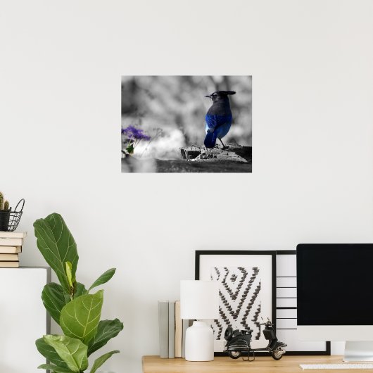 Steller Jay Poster (Thuiskantoor)