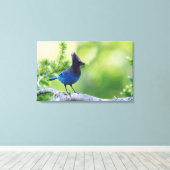 Stellers Jay Canvas Afdruk (Insitu (Houten vloer))