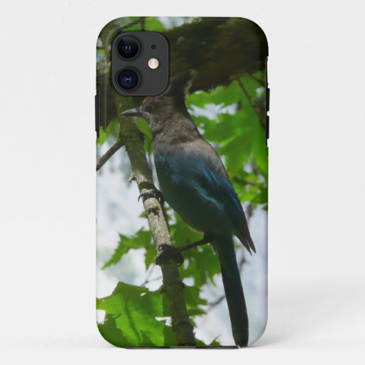 Steller's Jay in Yosemite National Park Case-Mate iPhone Case (Achterkant)