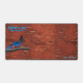Steller's Jay On Inner Birch Bark Acrylique Imprim (Recto)