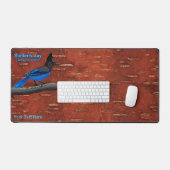 Steller's Jay On Inner Birch Bark Acrylique Imprim (Clavier et souris)