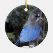 Stellers Jay Ornament (Achterkant)