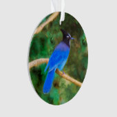 Steller's Jay Painting - Art original pour oiseaux (devant)