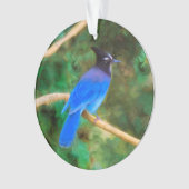 Steller's Jay Painting - Art original pour oiseaux (devant)