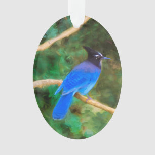 Steller's Jay Painting - Art original pour oiseaux