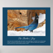Stellers Jay Poster (Voorkant)