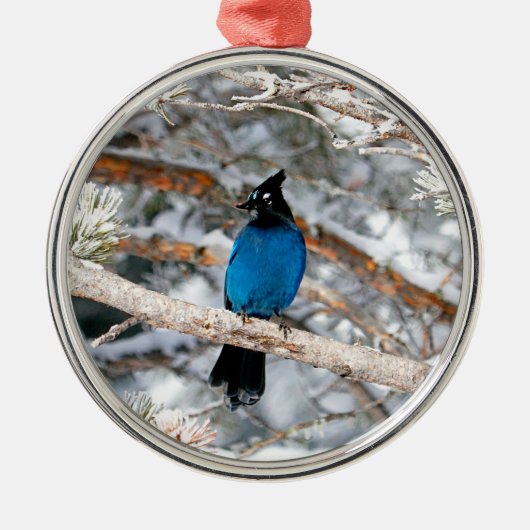 Steller's Jay Round Metalen Ornament (Voorkant)
