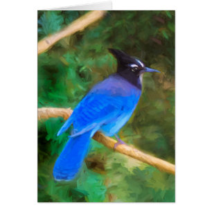 Stellers jay schilderen - Oorspronkelijke vogelkun