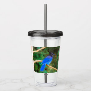 Stellers jay schilderen - Oorspronkelijke vogelkun Acryl Drinkbeker
