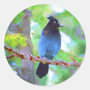 Stellers jay schilderen - Oorspronkelijke vogelkun Ronde Sticker