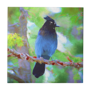 Stellers jay schilderen - Oorspronkelijke vogelkun Tegeltje