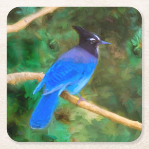 Stellers jay schilderen - Oorspronkelijke vogelkun Vierkante Kartonnen Onderzetter