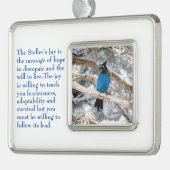 Steller's Jay Verzilverd Kader Ornament (Links)