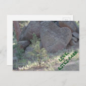 STELT PARK LOVE OP. BRIEFKAART (Voorkant / Achterkant)