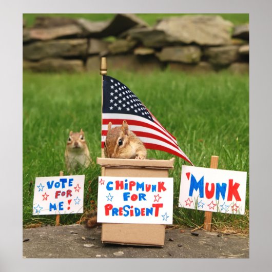Stem 'Munk'. Poster (Voorkant)