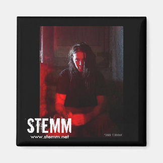 STEM: Steve Magnet Magneet