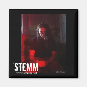 STEMM: Steve Magnet Magneet