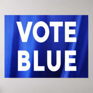 Stemming Blauw over Blauwe Zijde Fotoverkiezingen Poster