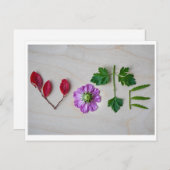 Stemming Briefkaart (Voorkant / Achterkant)