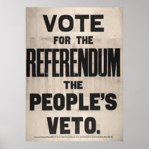 Stemming voor het referendum over het volksvetorec poster