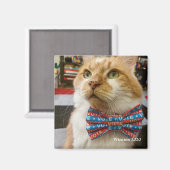 Stemming: woensdag magneet (Voorkant / Achterkant)