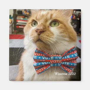 Stemming: woensdag magneet