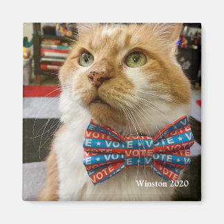 Stemming: woensdag magneet