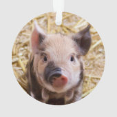 Stempel Ornament (achterkant)